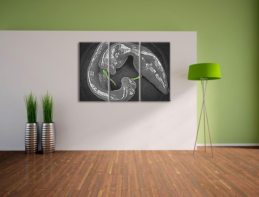 appetitliche scharfe Chilischoten schwarz/weiss Deluxe 3-Teiler Leinwandbild 120x80 Bild auf Leinwan