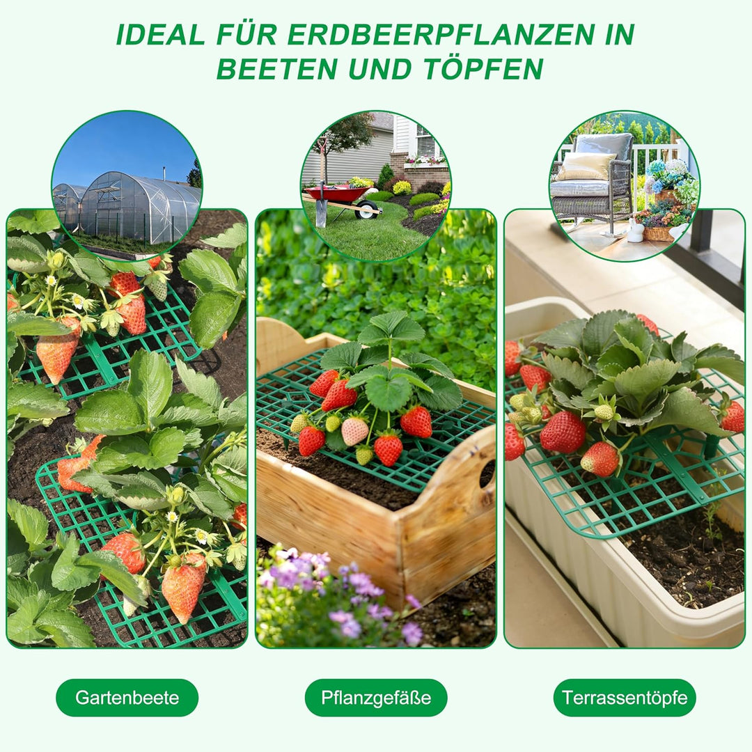 Erdbeer Pflanzenstützen, 10er Set Quadratisch, Erdbeerständer hält Erdbeer vom Boden fern, Wiederver