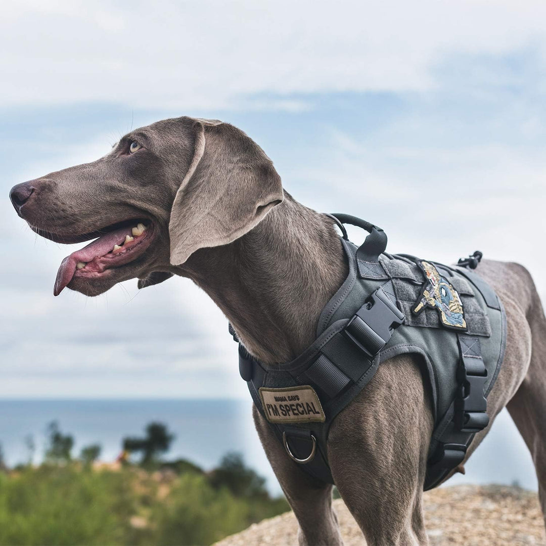 OneTigris Taktische Hundeweste Service Hundegeschirr MOLLE Hundeausbildung Geschirr 1000D Nylon (M,