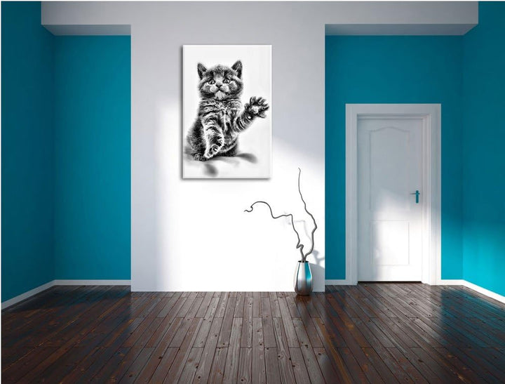 Pixxprint Babykatze die bettelt als Leinwandbild/Grösse: 100x70 / Wandbild/Kunstdruck/fertig bespann