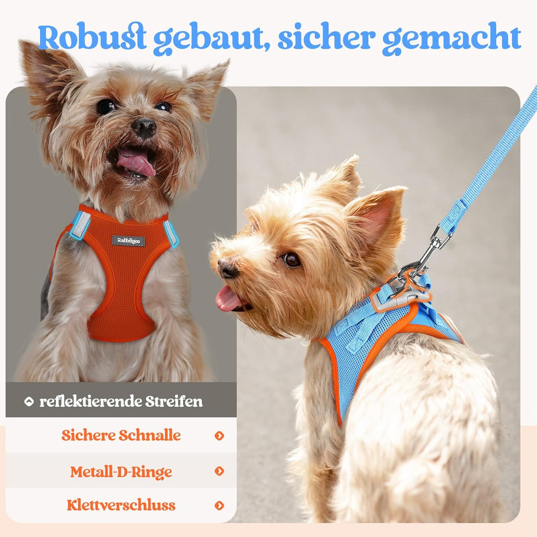 rabbitgoo Hundegeschirr Kleine Hunde mit Leine, Step-in Welpengeschirr Weich Mesh für Spaziergänge,