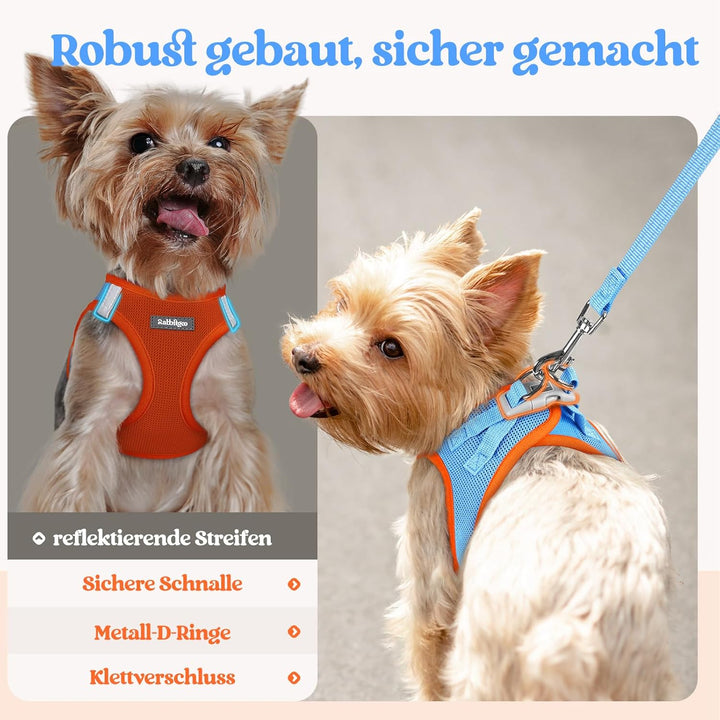 rabbitgoo Hundegeschirr Kleine Hunde mit Leine, Step-in Welpengeschirr Weich Mesh für Spaziergänge,