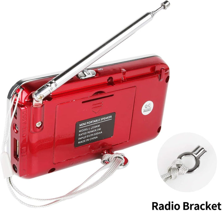 Raddy RF23 Tragbar Radio Klein AM/FM Kurzwellenempfänger MP3 Musik Player, unterstützt Mikro USB TF