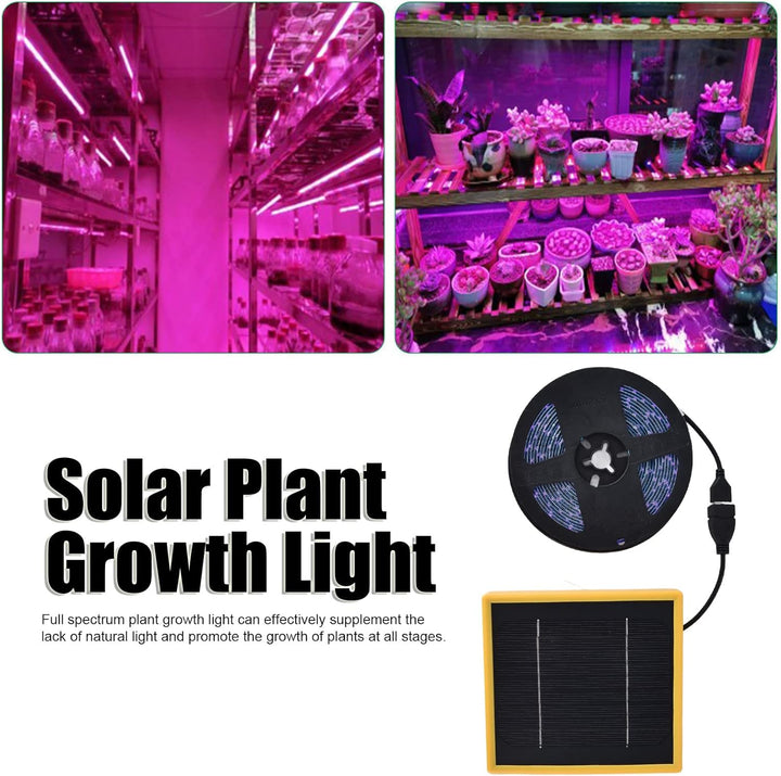 Solar Plant Grow Light Strips, 5 W LED Hoher Lichtstrom FöRdern das Wachstum, Solarpanel-Netzteil, L