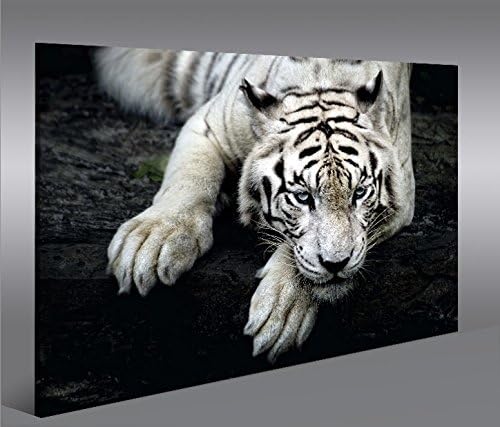 islandburner Bild Bilder auf Leinwand Bengalischer Tiger V2 1p XXL Poster Leinwandbild Wandbild Deko