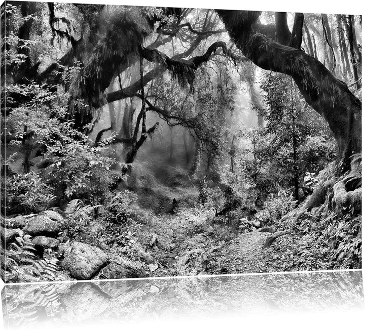 Pixxprint Mystischer Regenwald als Leinwandbild/Grösse: 100x70 / Wandbild/Kunstdruck/fertig bespannt