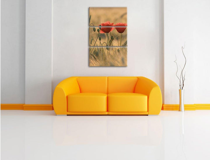 Pixxprint Zwei schöne Mohnblumen 3-Teiler Leinwandbild 120x80 Bild auf Leinwand