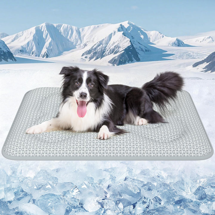 Rywell Kühlmatte Hund für Grosse Hunde 110x80 cm, 3 cm Extra Dick &amp; Gelenkschonend, Farbwechsel-Selb