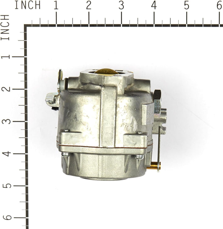 Briggs & Stratton 693480 Vergaser für Modelle 499306, 495181 und 495026