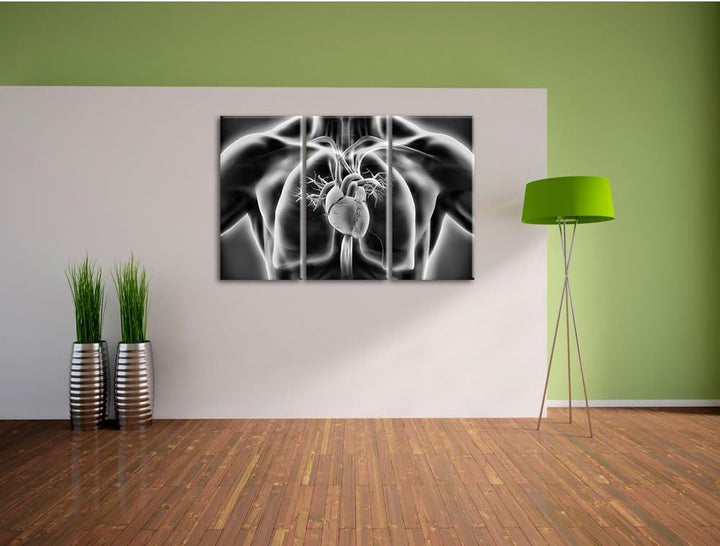 Pixxprint Herz des Menschen als Leinwandbild/Grösse: 3 Teilig (120x80) cm/Wandbild/Kunstdruck/fertig