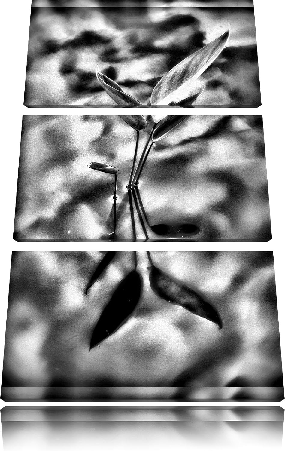 Pixxprint grüne Blätter im Wasser als Leinwandbild/Grösse: 3 Teilig (120x80) cm/Wandbild/Kunstdruck/