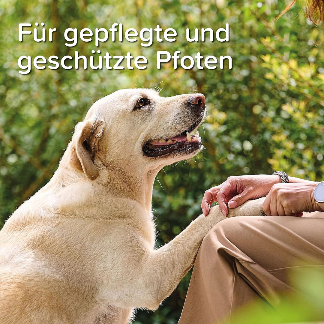 beaphar - Pfoten-Pflege Spray Für Hunde - Schützt Vor EIS, Schnee, Streusalz - Mit Propolis, Glyceri