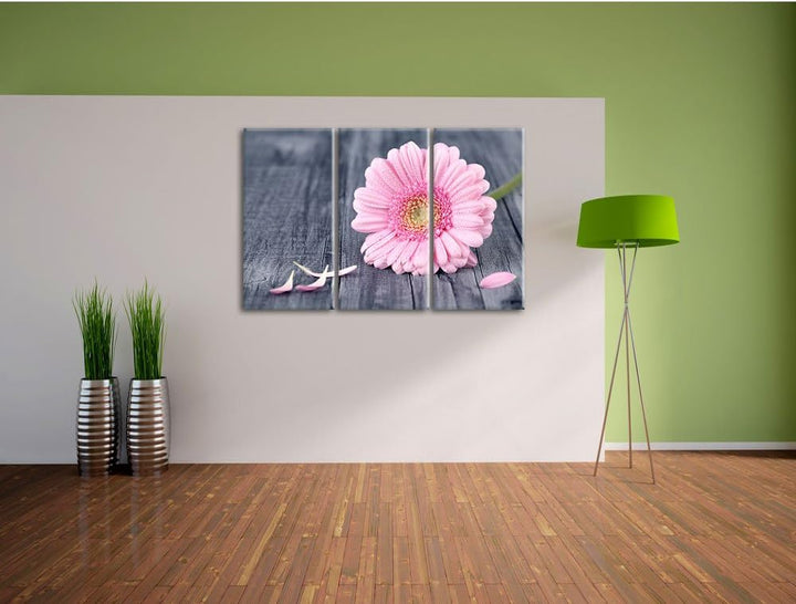 Pixxprint Pinke Gerbera auf rustikalem Boden als Leinwandbild - Grösse: 3-Teilig (120x80cm) - Wandbi