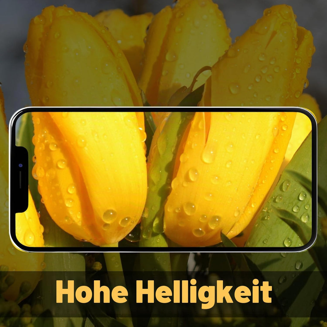 Display für iPhone 12 Mini 5,4&