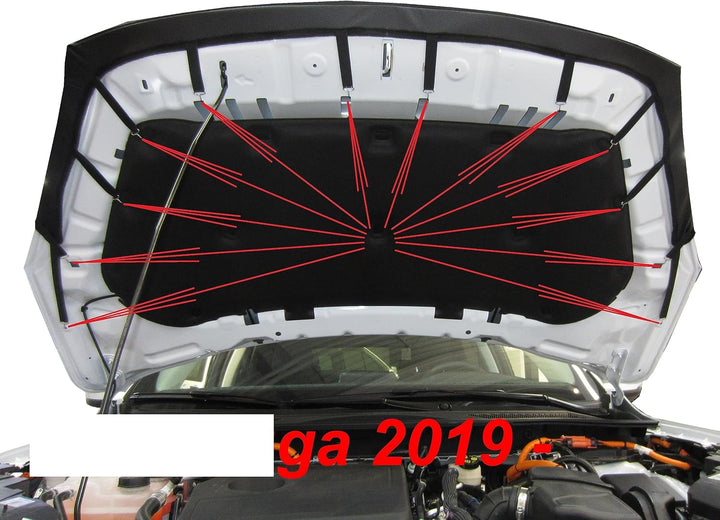 AB3-00595 Auto Bra kompatibel mit Ford Kuga 2019-2024 Haubenbra Steinschlagschutz Tuning Bonnet Bra