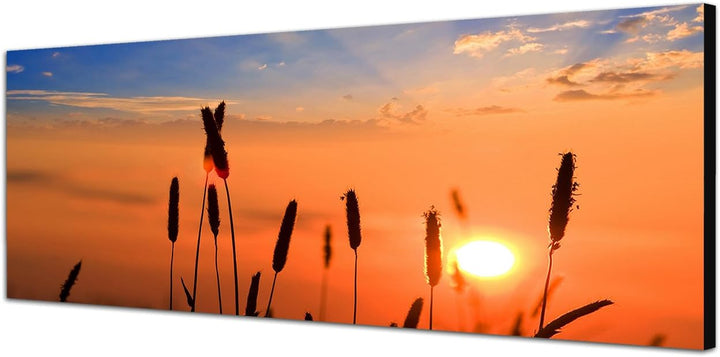 Paul Sinus Art Panoramabild auf Leinwand und Keilrahmen 120x40cm Getreide Feld Sommer Sonnenuntergan