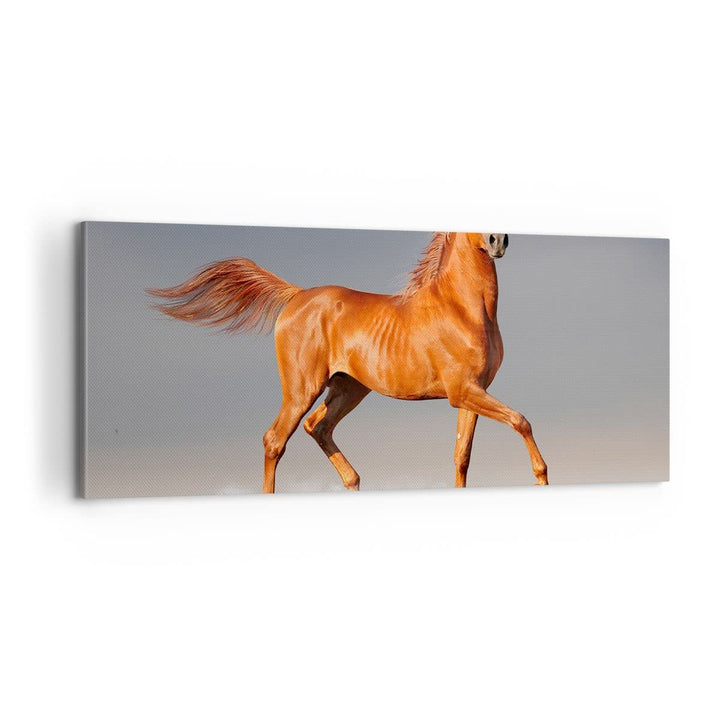Bilder auf Leinwand 100x40cm Leinwandbild Tiere Pferd Galopp Geschwindigkeit Gross Wanddeko Bild Sch