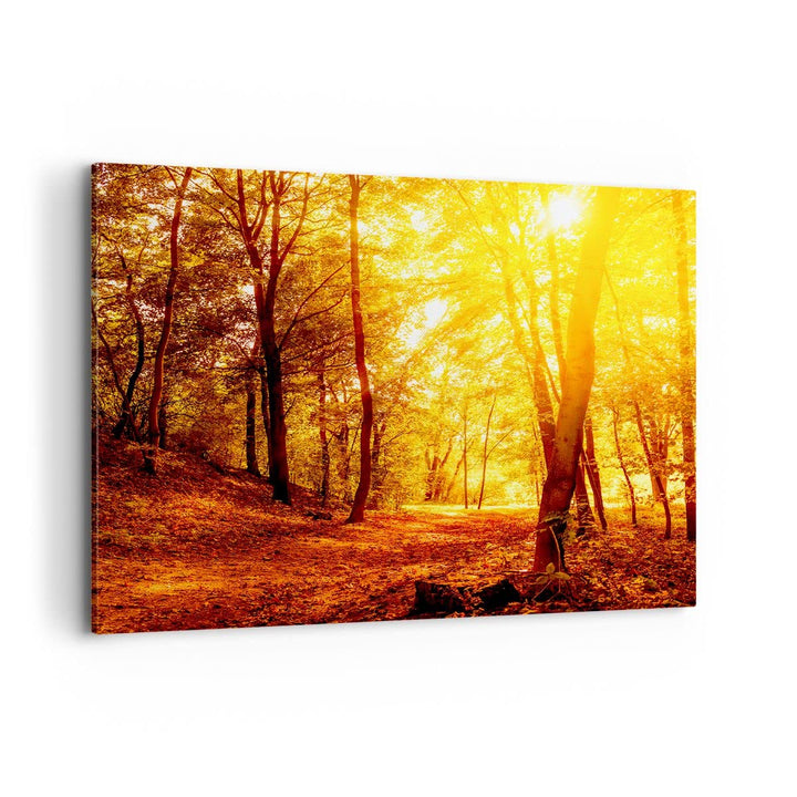 Bilder auf Leinwand 100x70cm Leinwandbild mit Rahmen Wald Baum Natur Gross Wanddeko Bild Schlafzimme