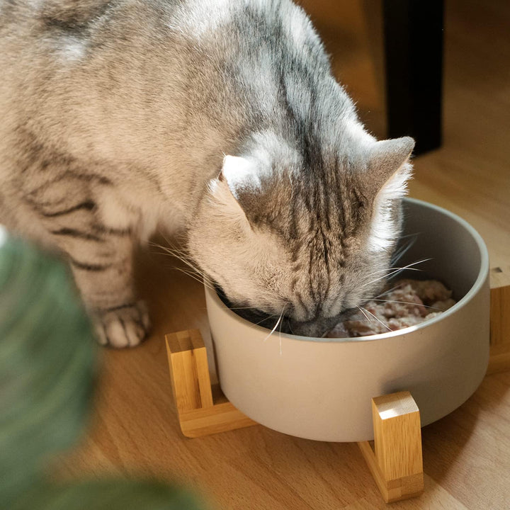 Navaris 2X Futternapf Katze mit Bambus Halter - Futterstation 2X Keramiknapf für Katzen Hunde - Kera