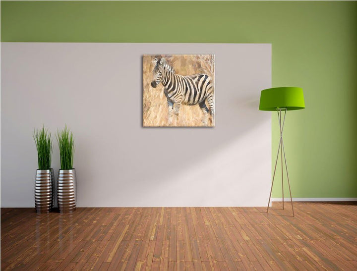 Anmutiges Zebra in Savanne, Format: 70x70 auf Leinwand, XXL riesige Bilder fertig gerahmt mit Keilra