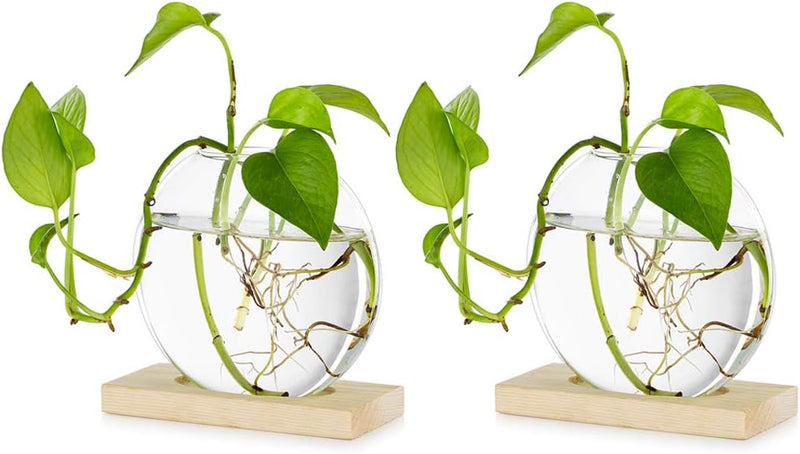 Tischplatte hängen Glas Pflanzer Pcs von 2 Vermehrungsstation Moderne Blumenknospe Vase in Holz Steh