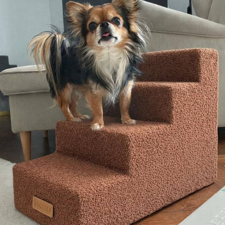 Sofatreppe für Hunde und Katzen – Hundetreppe für Bett & Sofa – 3- oder 4-stufig, rutschfest & wasch