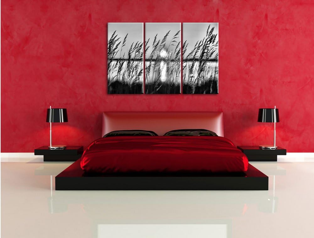 Pixxprint Sonne zwischen Gräsern als Leinwandbild/Grösse: 3 Teilig (120x80) / Wandbild/Kunstdruck/fe