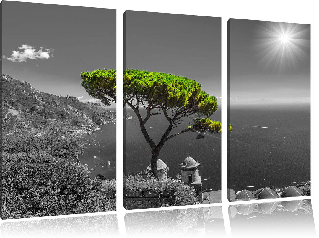 Pixxprint Baum am Mittelmeer als Leinwandbild | Grösse: 3 Teilig (120x80) | Wandbild| Kunstdruck | f