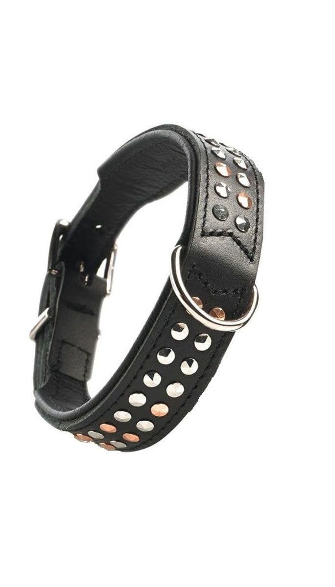HUNTER SAN DIEGO Hundehalsband, Leder, geschmeidig, Nieten, 37 (XS-S), schwarz 37 (XS-S) schwarz, 37