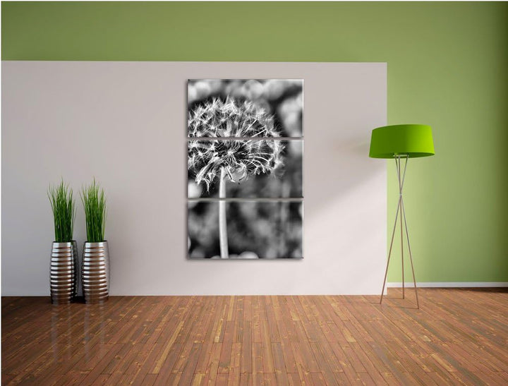 Pixxprint Monocrome, Pusteblume auf Wiese 3-Teiler Leinwandbild 120x80 Bild auf Leinwand