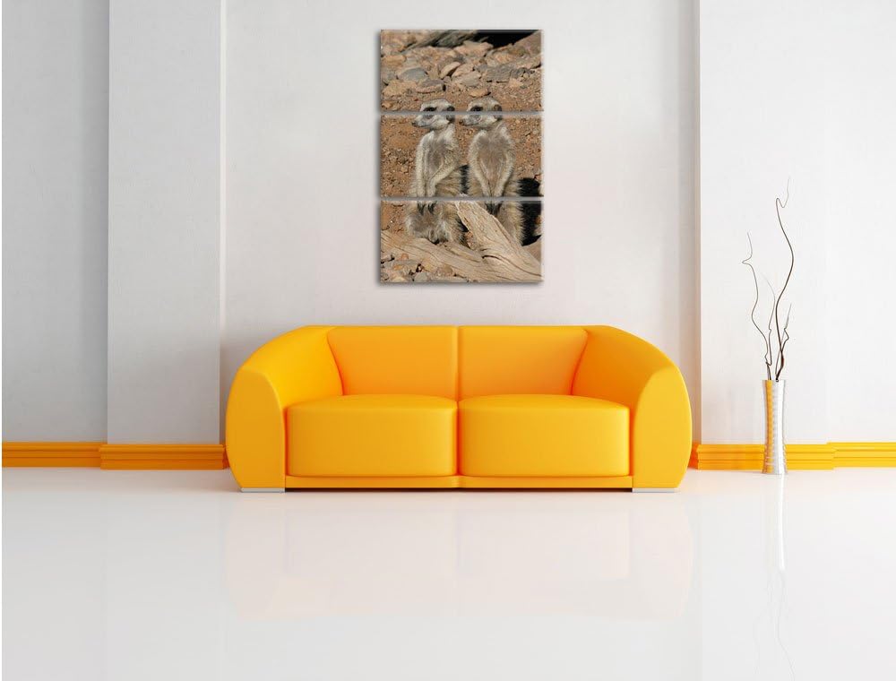 Pixxprint kleines Erdmännchenrudel 3-Teiler Leinwandbild 120x80 Bild auf Leinwand