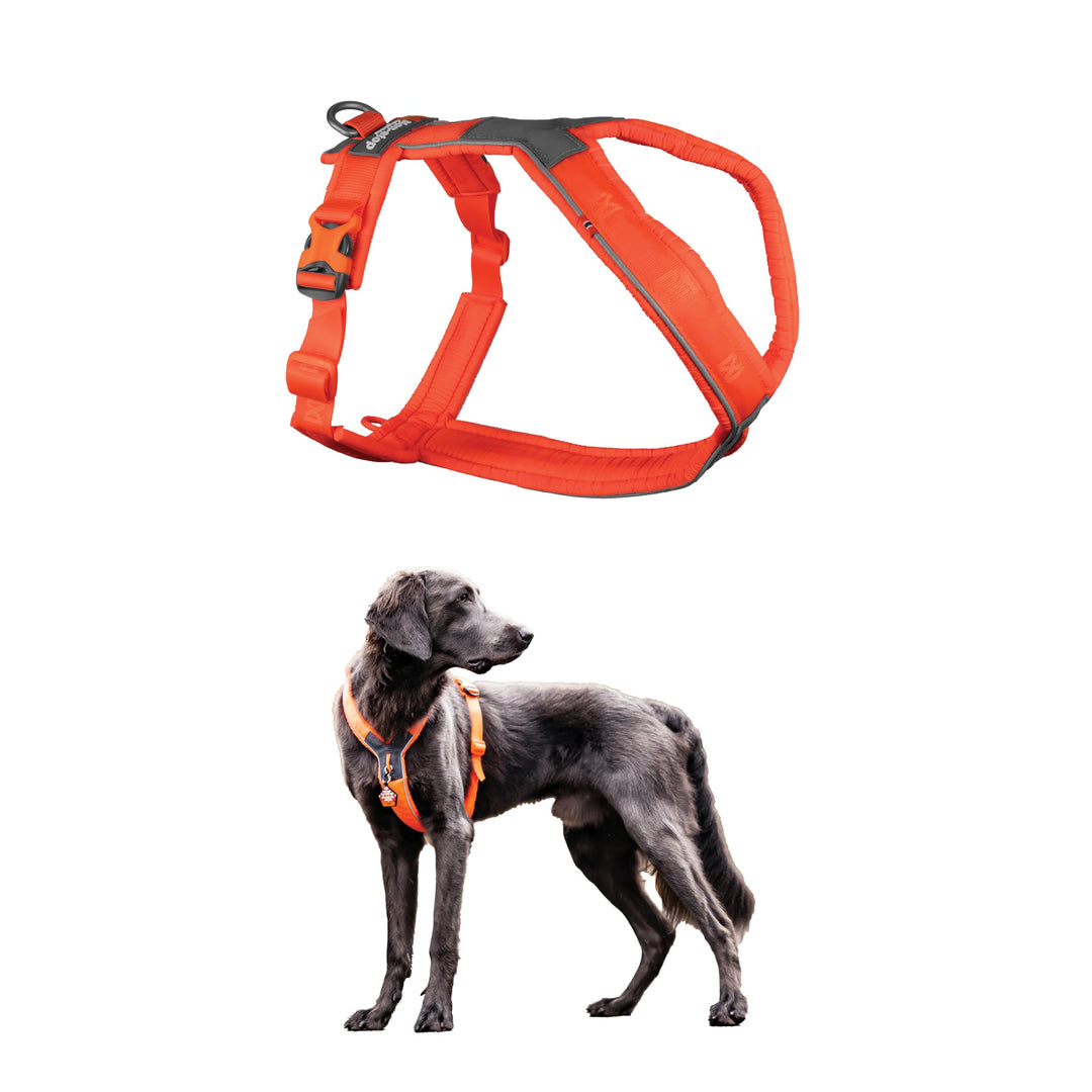 Non-stop dogwear Line Harness 5.0, Gepolstertes Hundegeschirr für kleine, mittlere und grosse Hunde,