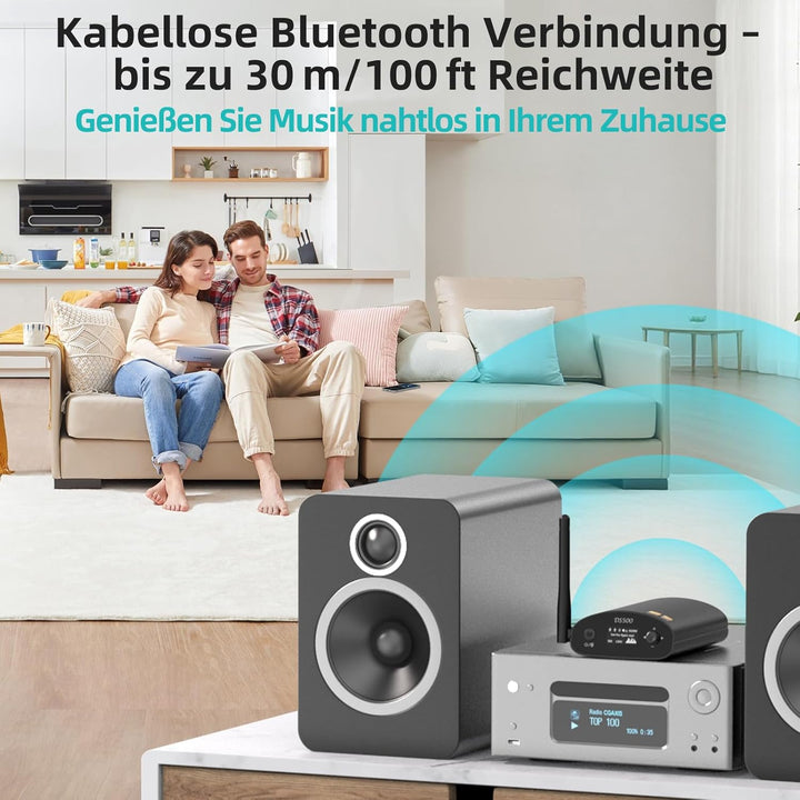 1Mii DS500 HiFi Bluetooth Receiver für Heimstereo mit LDAC, Bluetooth 5.1 Audio Adapter mit Audiophi