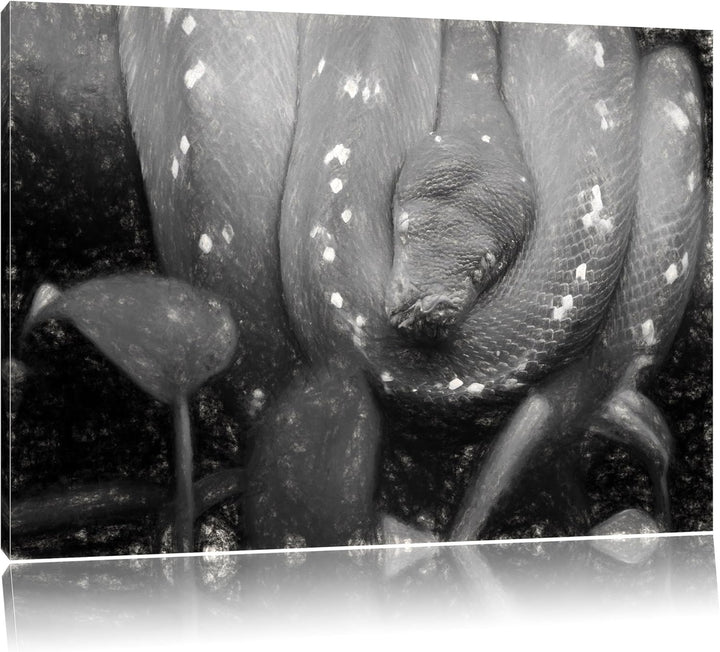 Pixxprint grüne Schlange / 100x70cm Leinwandbild bespannt auf Holzrahmen/Wandbild Kunstdruck Dekorat