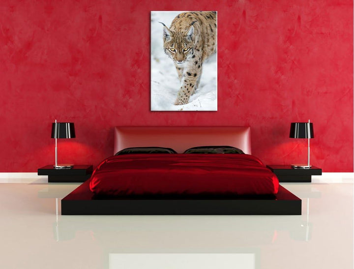 Pixxprint wachsamer Luchs im Schnee auf Leinwand, XXL riesige Bilder fertig gerahmt mit Keilrahmen,
