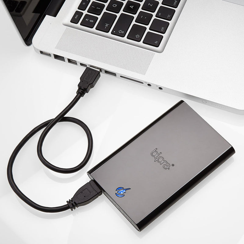 Bipra S2 2.5 Zoll USB 2.0 NTFS Portable Externe Festplatte - Schwarz (1TB) 1 TB, 1 TB