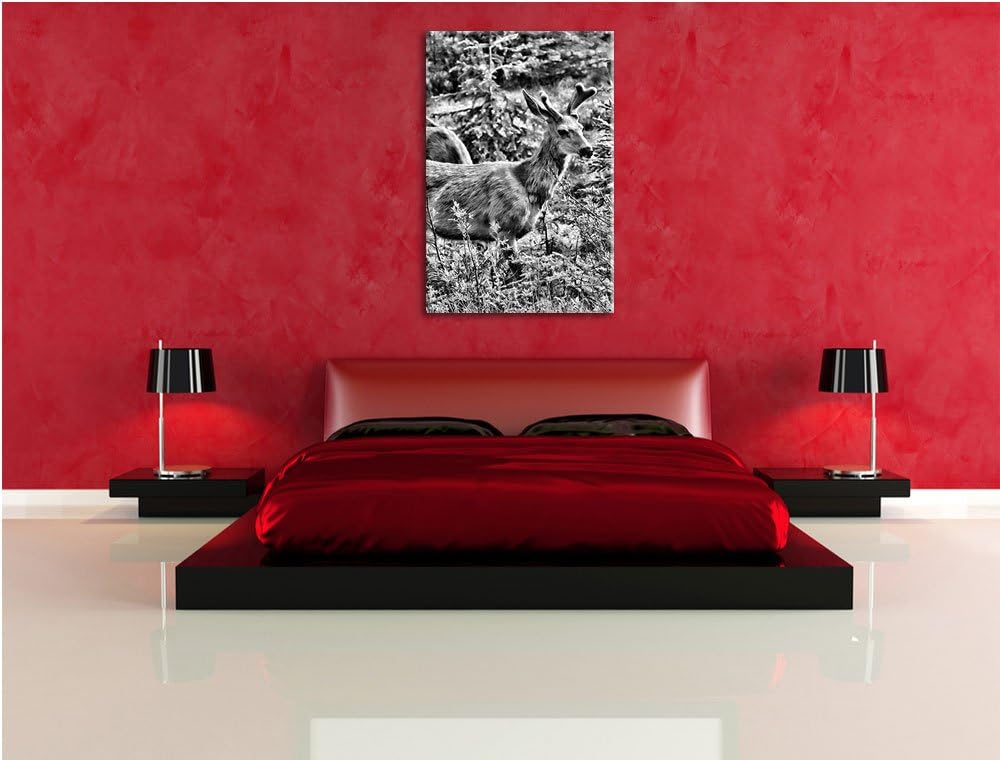 Pixxprint junges REH Paar als Leinwandbild/Grösse: 100x70 / Wandbild/Kunstdruck/fertig bespannt, 100