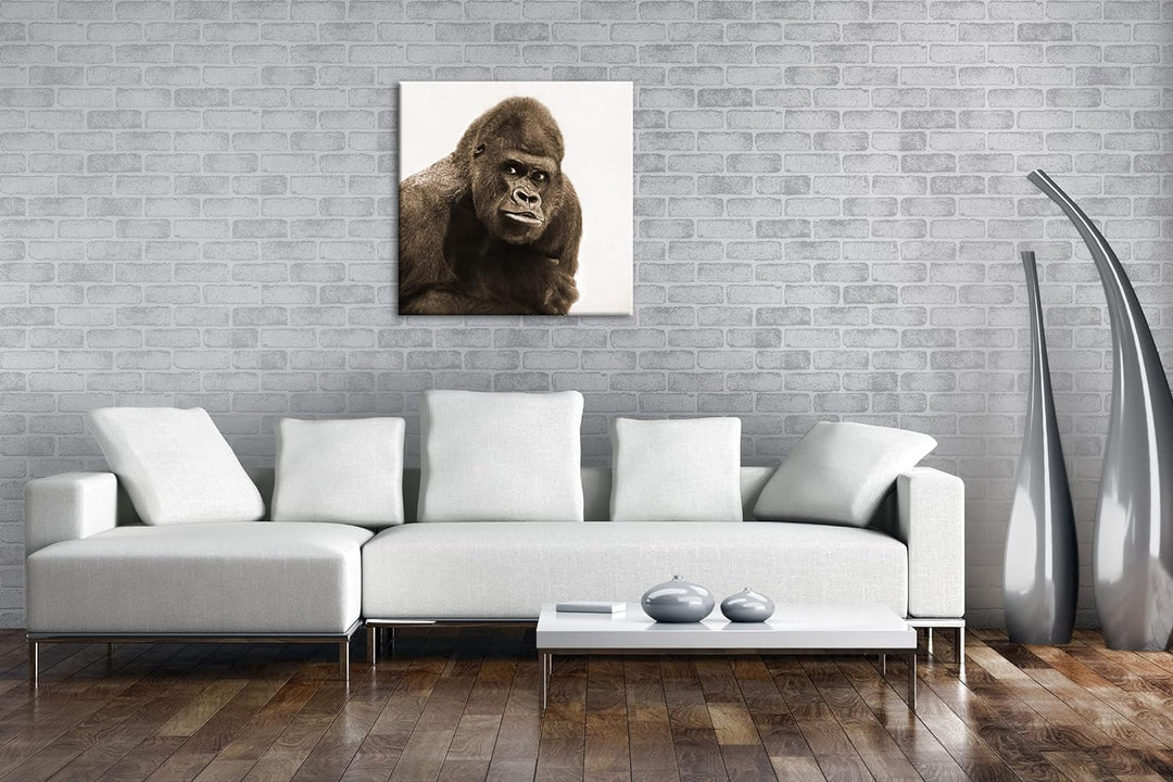 Gorilla Silberrücken Format: 70x70 Effekt: Sepia als Leinwandbild, Motiv fertig gerahmt auf Echtholz