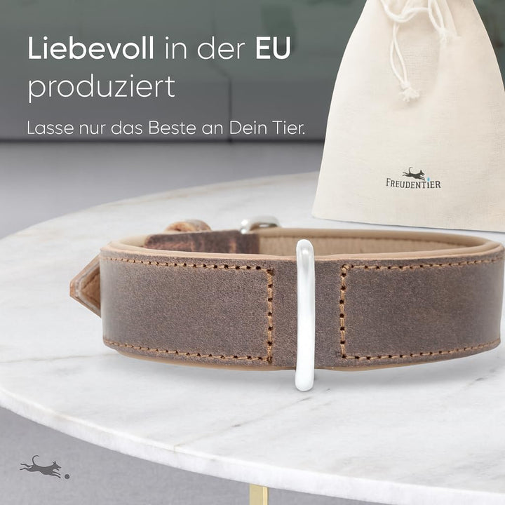 FREUDENTIER Hundehalsband aus zertifiziertem Leder - Inkl. Geschenksäckchen - Gepolstert & super kom