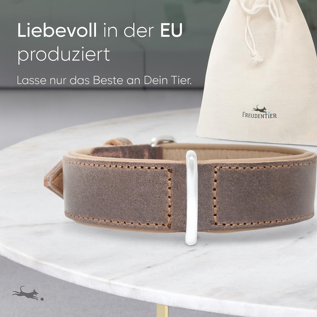 FREUDENTIER Hundehalsband aus zertifiziertem Leder - Inkl. Geschenksäckchen - Gepolstert & super kom