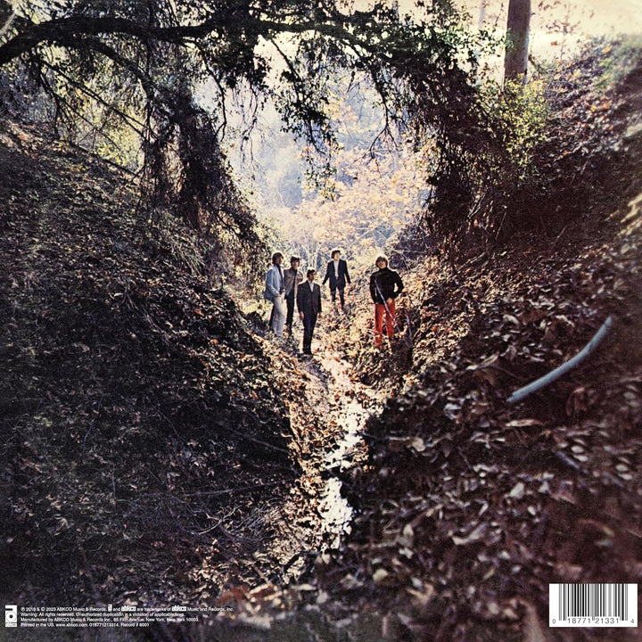 Big Hits (High Tide & Green Grass), Vinyl