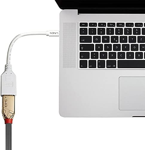 LINDY 41021 Adapterkabel Mini-DP (M)/DP (F) Kupplung, Premium geschirmt weiss