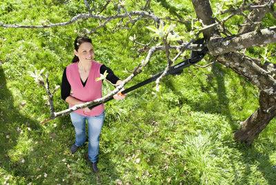 Fiskars Amboss-Schneidgiraffe für trockenes und hartes Holz, Nicht teleskopierbar, Schnittwinkel um