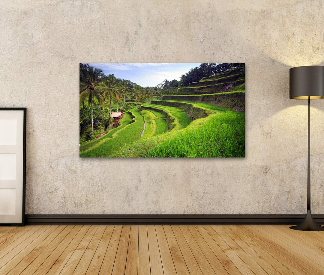 islandburner Bild auf Leinwand Terrasse Reisfelder Ubud Tegallalang Bali Indonesien Bilder Wandbilde