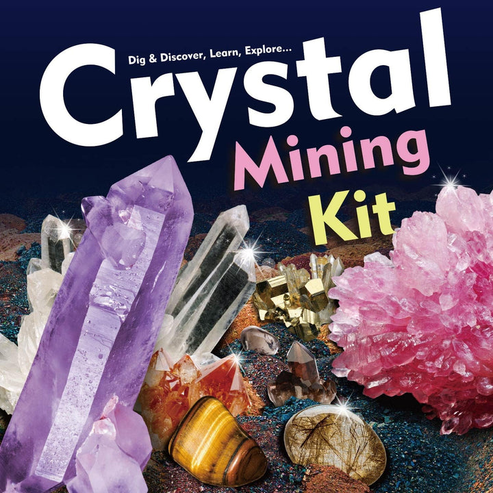 Mineralien Ausgrabungsset Edelstein Ausgraben Spielzeug Geologie Steine Geburstagsgeschenk für Kinde