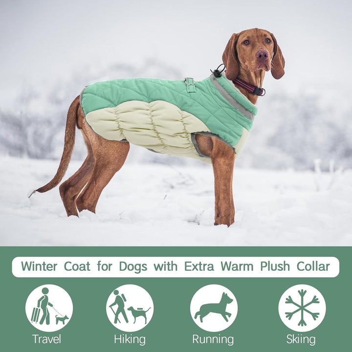 Kuoser Wärme hundemantel, Winddicht hundejacke, Reflektierend hundemantel für kleine Hunde, hundeman