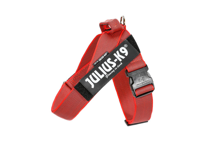 Julius-K9, Color & Gray, Beltgeschirr L / 1 rot-grau, L / 1 rot-grau
