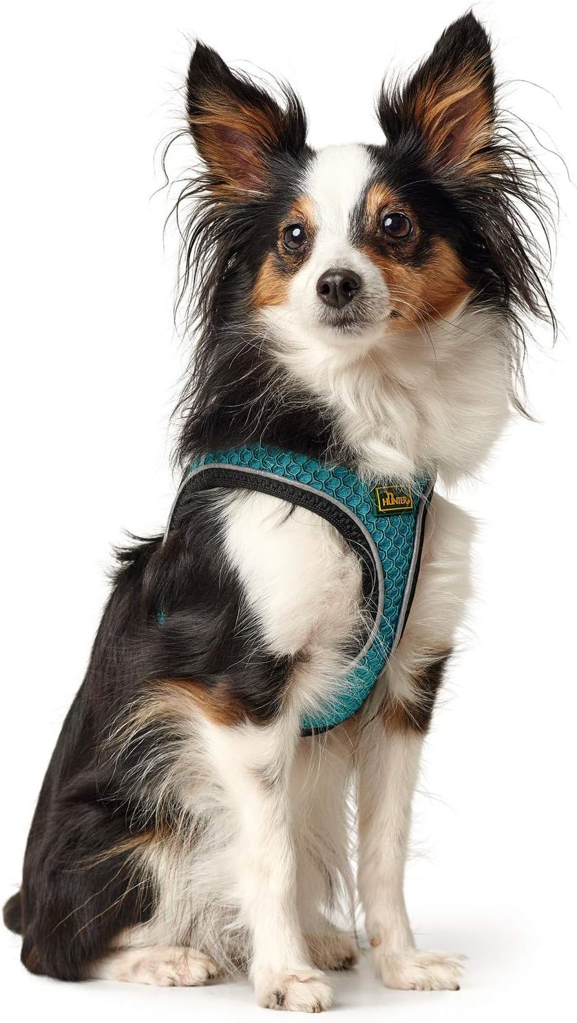 HUNTER HILO COMFORT Geschirr für kleine Hunde mit Netzmaterial und reflektierenden Elementen, türkis