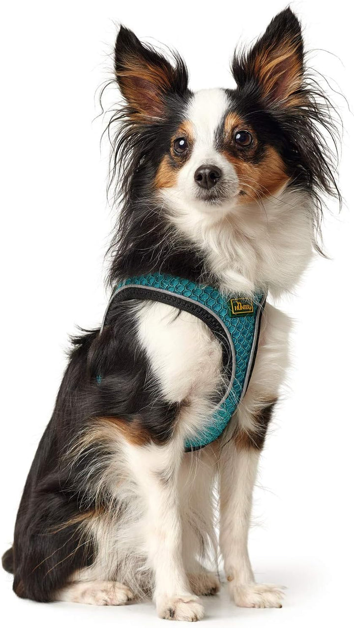 HUNTER HILO COMFORT Geschirr für kleine Hunde mit Netzmaterial und reflektierenden Elementen, türkis