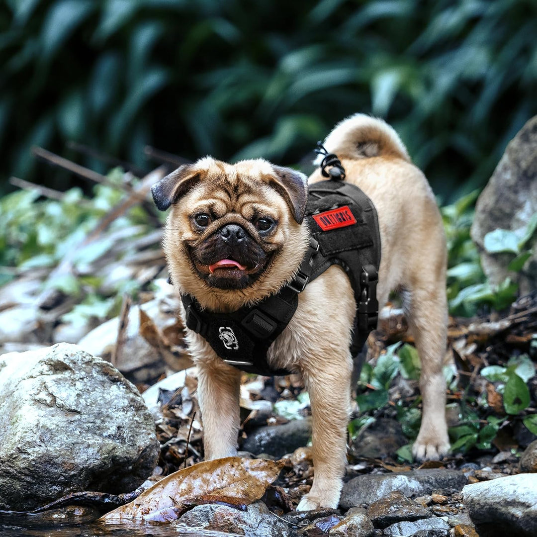 OneTigris Hundegeschirr, FIRE WATCHER Taktische Geschirr Sicherheitsgeschirr Hunde Hundeweste mit 1